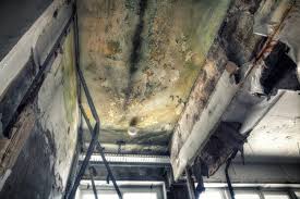 Mold Remediation for Rental Properties in Dawson, GA